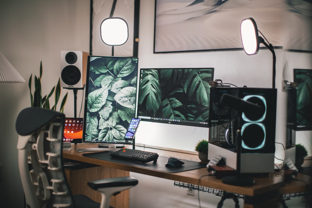 best monitors for working from home
